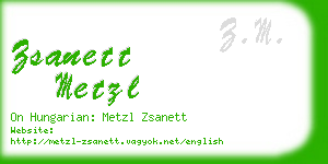zsanett metzl business card